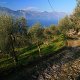Danieli la Castellana Dipendenza, Lago di Garda