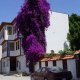 White Garden Pansion Hostel icinde
 Antalya