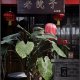 Badaling Great Wall courtyard hostel, Pequim