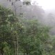 Biohostal Mindo Cloud Forest, Mindas