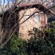 Bayrams  Treehouse, Olimpos
