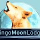 Dingo Moon Lodge, 다윈