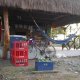 La Spiaza Backpackers and Cabins, Las Lajas