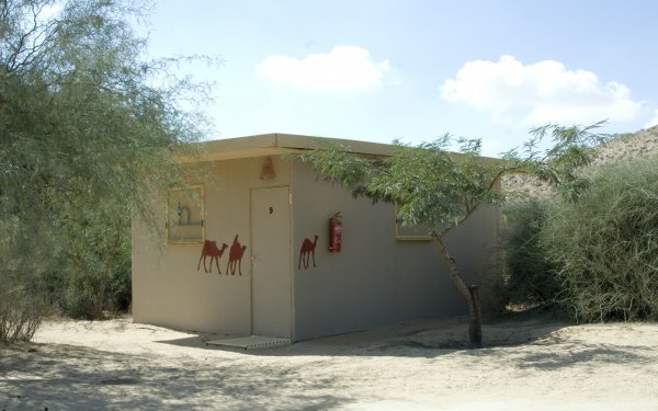 Negev Camel Ranch, Nègueb