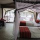 Enchoro Wildlife Camp , Maasai Mara