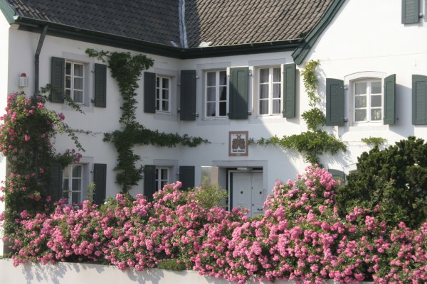 Rhein River Guesthouse, Koln
