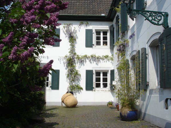 Rhein River Guesthouse, Kolognė