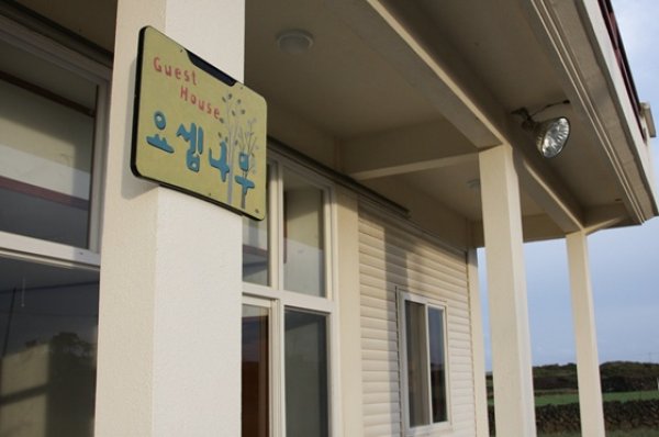 JosephTree guest house, πόλη Jeju