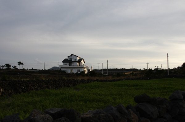 JosephTree guest house, πόλη Jeju