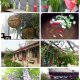 Ming Courtyard, Peking