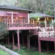 Mesilau Nature Resort, कोटा किनाबुलु