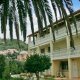 Danae Apartments, Korfoe
