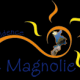 Residence le Magnolie Bed & Breakfast i Palermo