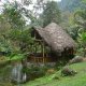 El abrazo del arbol - Farm Eco Lodge, Mindas