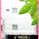 Girls Generation (for girls only Hostel), 漢城