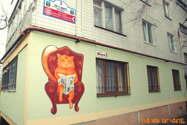 The Red Cat Hostel , ドネツィク