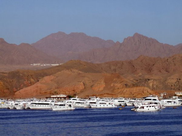 Aida Better Life, Sharm El Sheikh