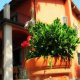 Olivia Bed and Breakfast, Pistoia