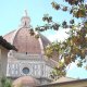 La Gabbia del Grillo, Florencie