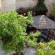 Vitrage Guesthouse, Nazareth