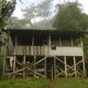 Bolita Rainforest Hostel, Puerto Jimenez