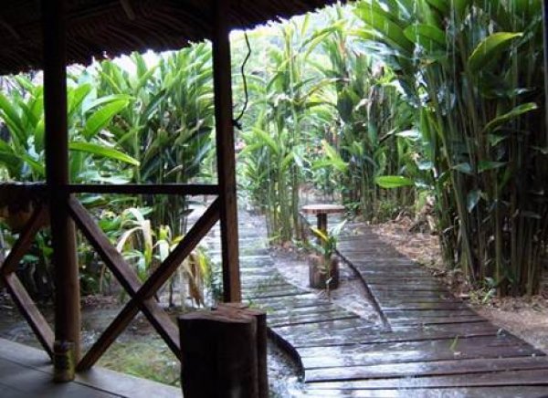 Natural reserve Heliconia Ecolodge, レティシア