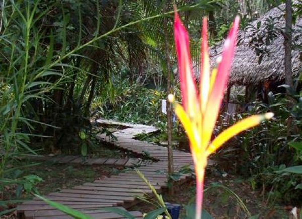Natural reserve Heliconia Ecolodge, 레티치아