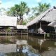 Ecological Jungle Trips and Amazon Lodge, Икуитос