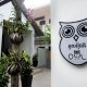 Owl Inn, Siem Rypas