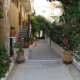 Rhodes Backpackers, Rodos