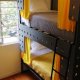 Roomies Hostel Condesa, Mexico City
