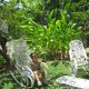 Casa Elda con la Naturaleza, L'Avana