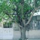 Shiraz Niloo Hostel, Shiraz