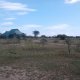 Zebra Kemang'ore Bush Tented Lodge, Seronera - Serengeti