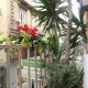 Bed E Breakfast Plebiscito Home , Neapel