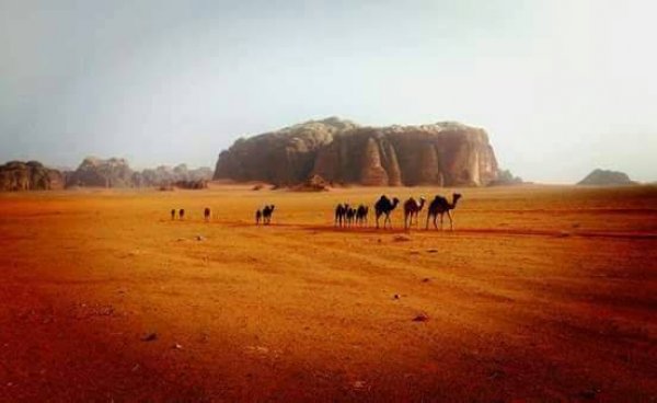 Wadi Rum Beduland Camp, Uádi de Rum