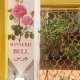 Damask Rose, Lebanese Guest House, Jounieh