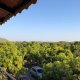 Gir Lions Paw Resort With Swimming Pool, Гирский лес