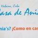 Hostel Casa de Ania in Havana Hostal en La Habana