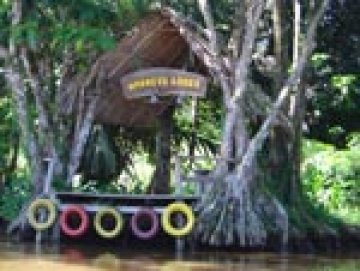 Monkey Lodge, Tortugueras
