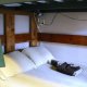 Green Tortoise Backpacker's Guesthouse - Seattle, シアトル