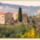 Castello di Montegonzi, Greve in Chianti
