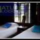 Nature Lodge, Шингмай